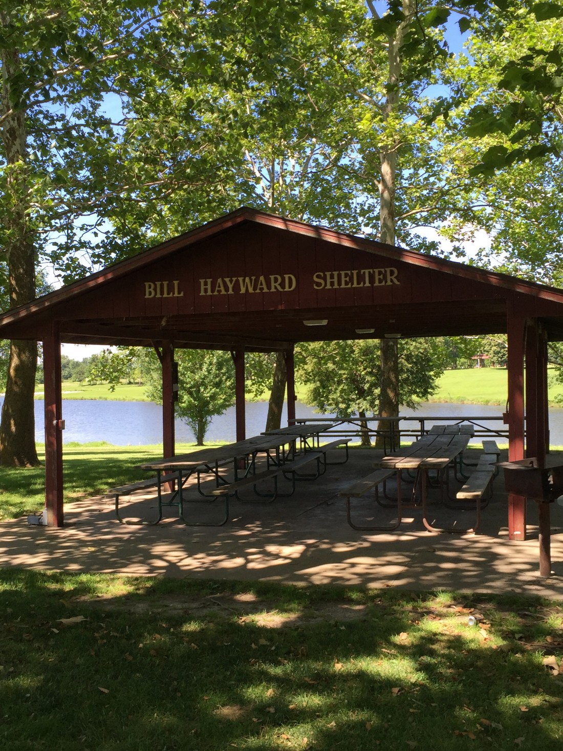 Hayward Shelter